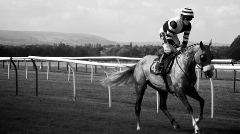 Jockey
