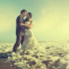 Beach Wedding