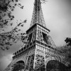 Eiffel in Black and White