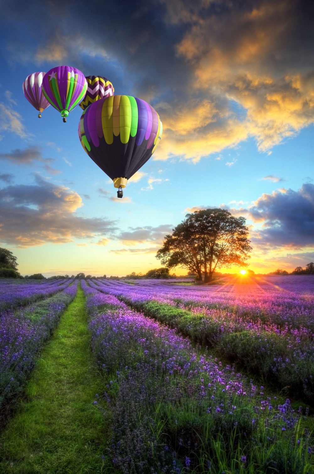 Hot Air Balloons