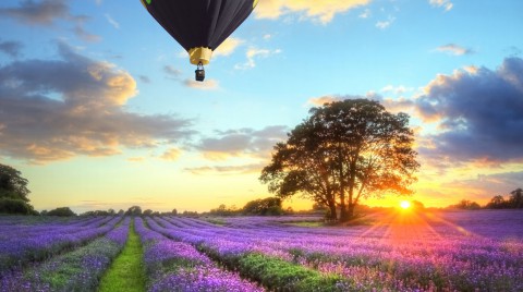 Hot Air Balloons